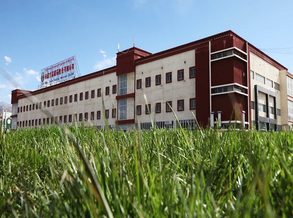 Ȥ����(�й���)���޹�˾����