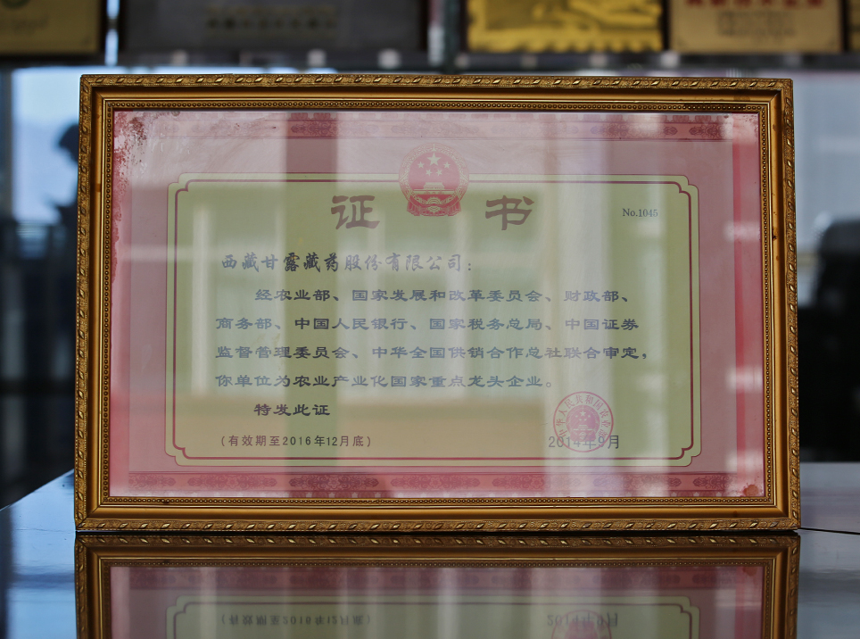 Ȥ����(�й���)���޹�˾����